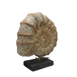 Muszla Ceramiczna Ozdoba Rustykalna Amonit 40x35cm